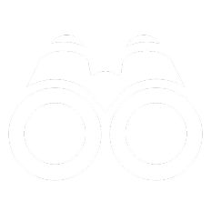 VISION